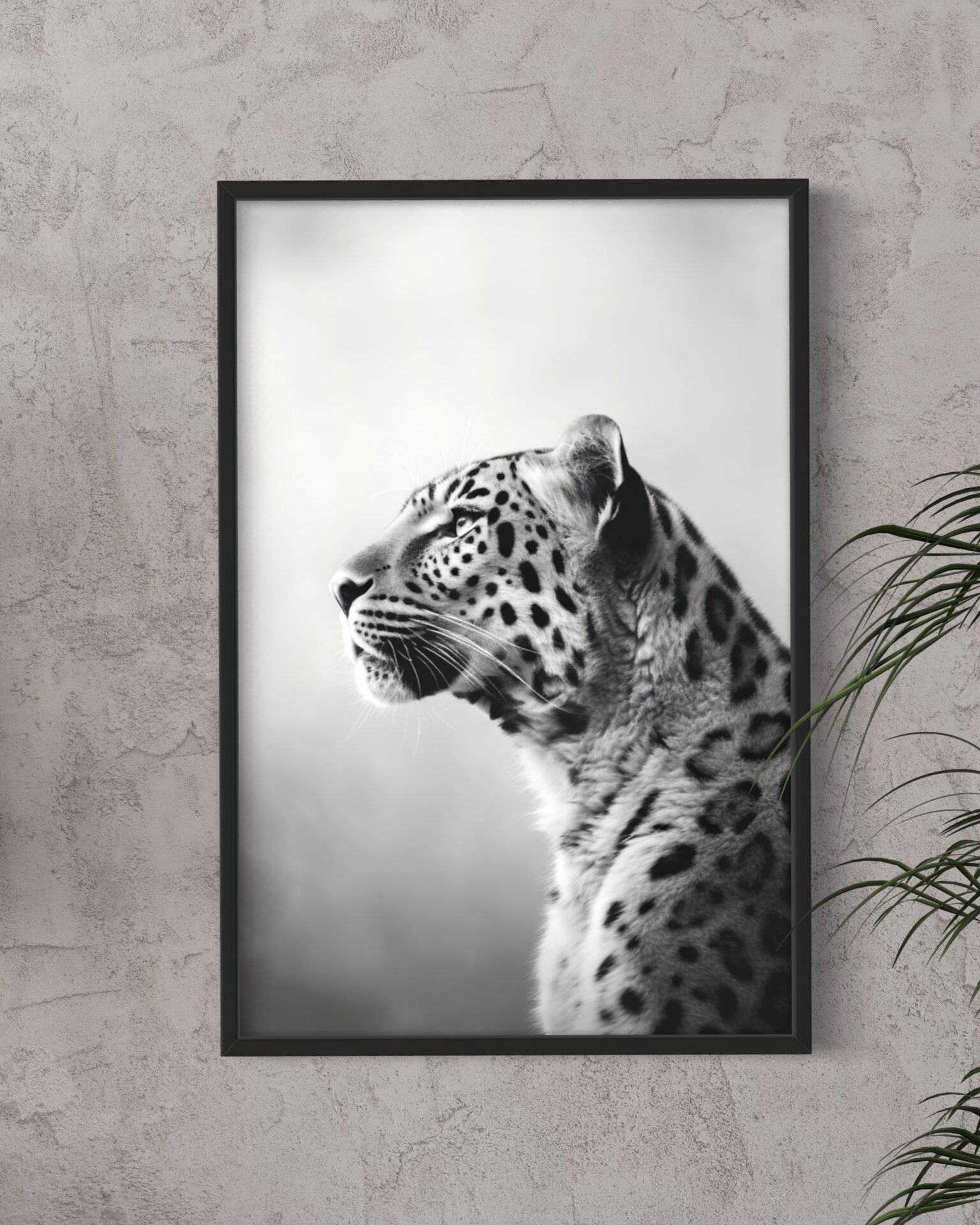 Jaguar | Niebla - Image 4