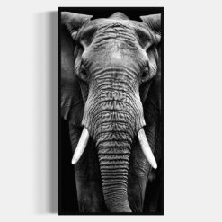 Elefante | Amboseli