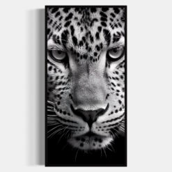 Leopardo | Sabi
