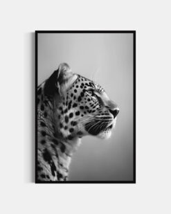 Leopardo | Niebla