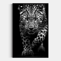 Leopardo | Acecho