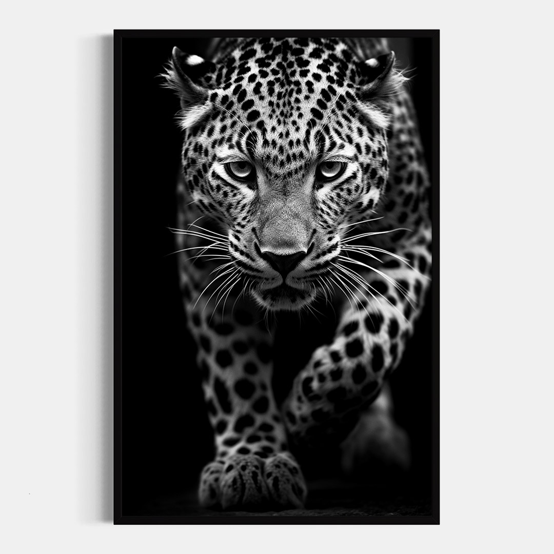 Leopardo | Acecho