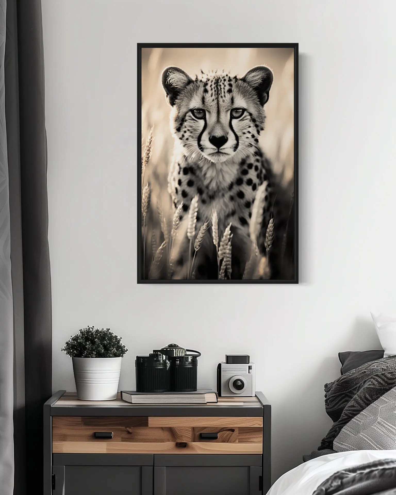 Guepardo - Imagen 2