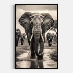 Elefante | Etosha