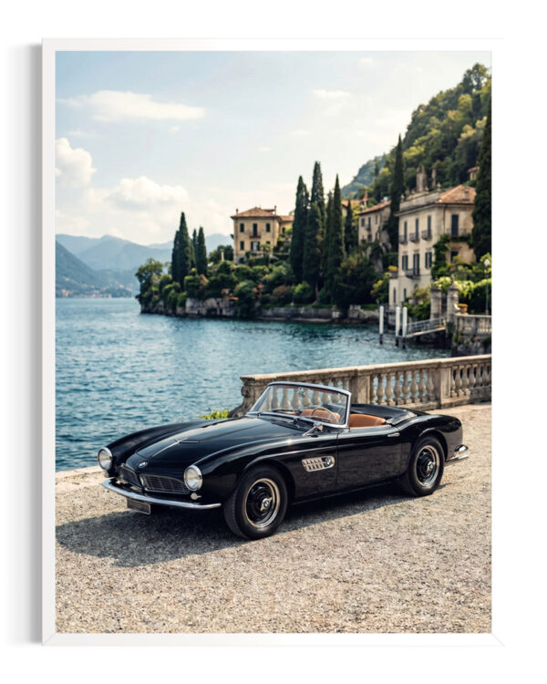 BMW | 507