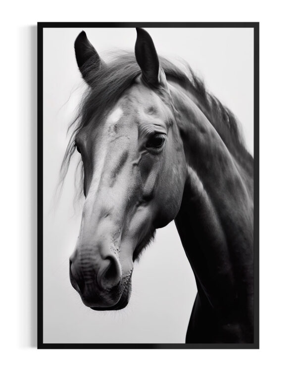 Caballo | Andaluz