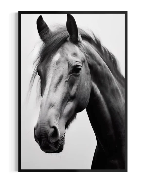 Caballo | Andaluz
