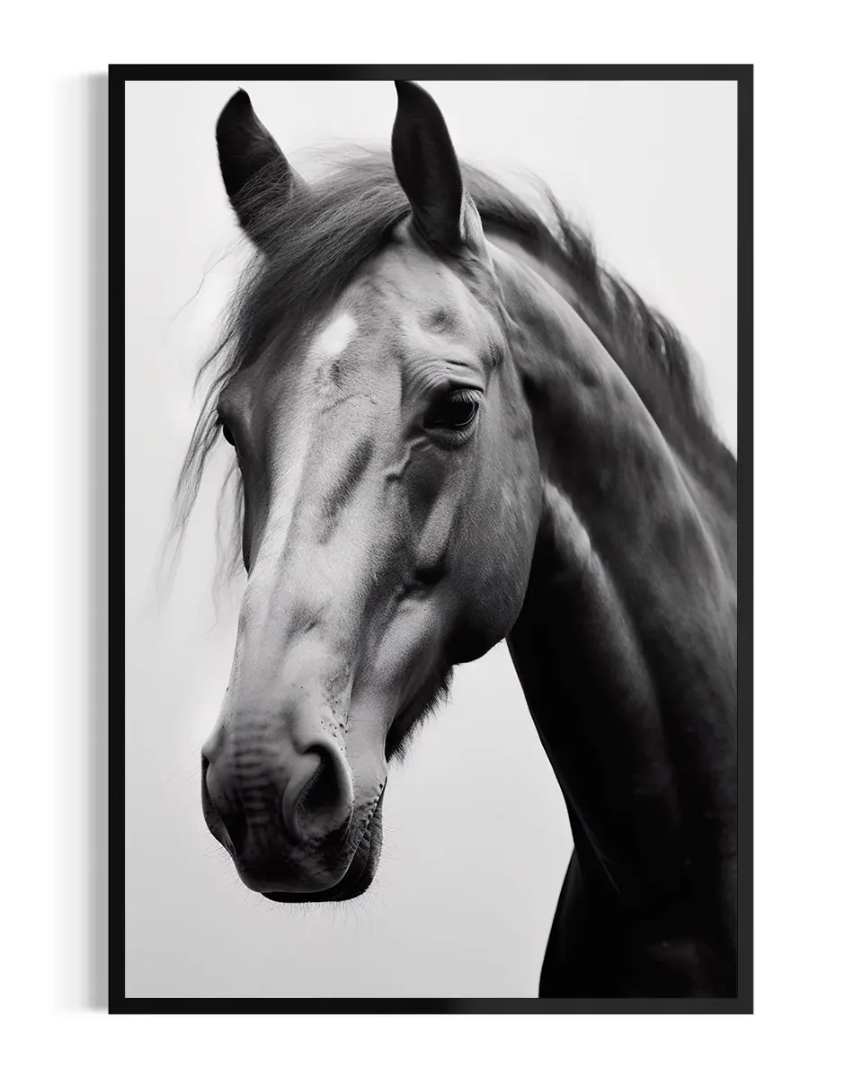 Caballo | Andaluz