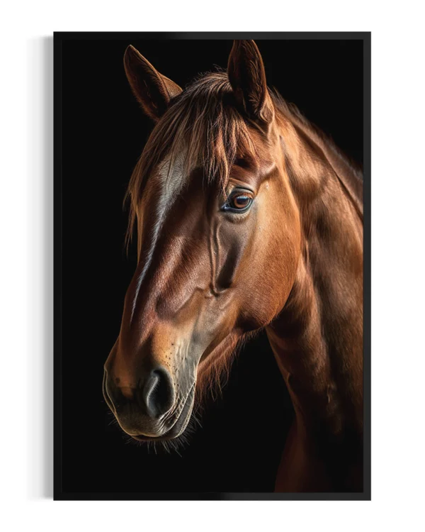 Caballo | Castaño