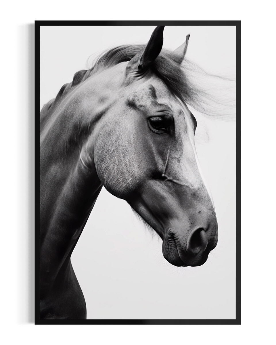 Caballo | Lusitano