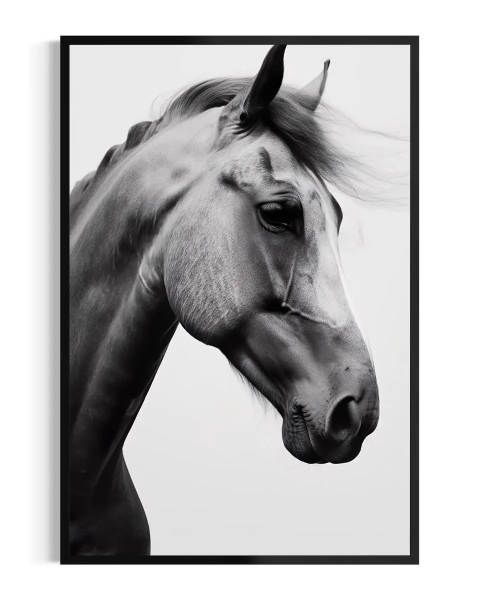 Caballo | Lusitano