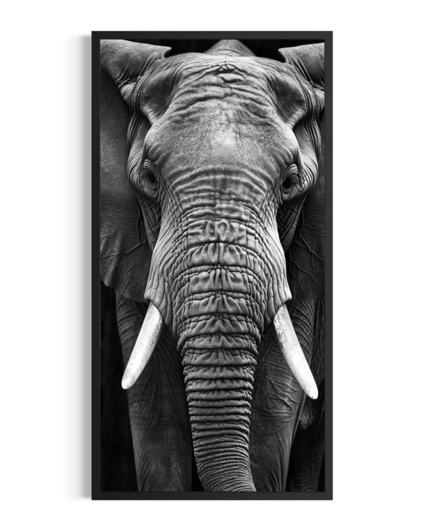 Elefante | Amboseli
