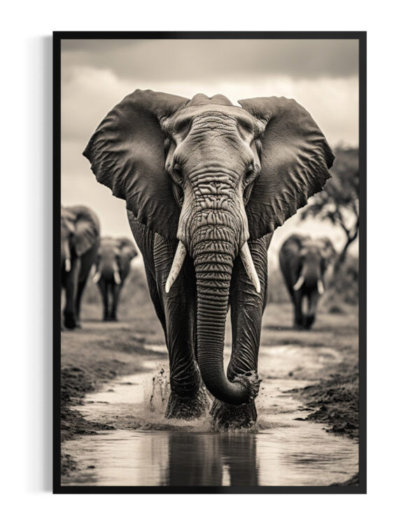 Elefante | Etosha