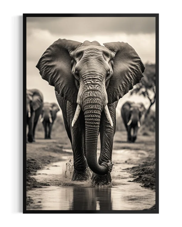 Elefante | Etosha