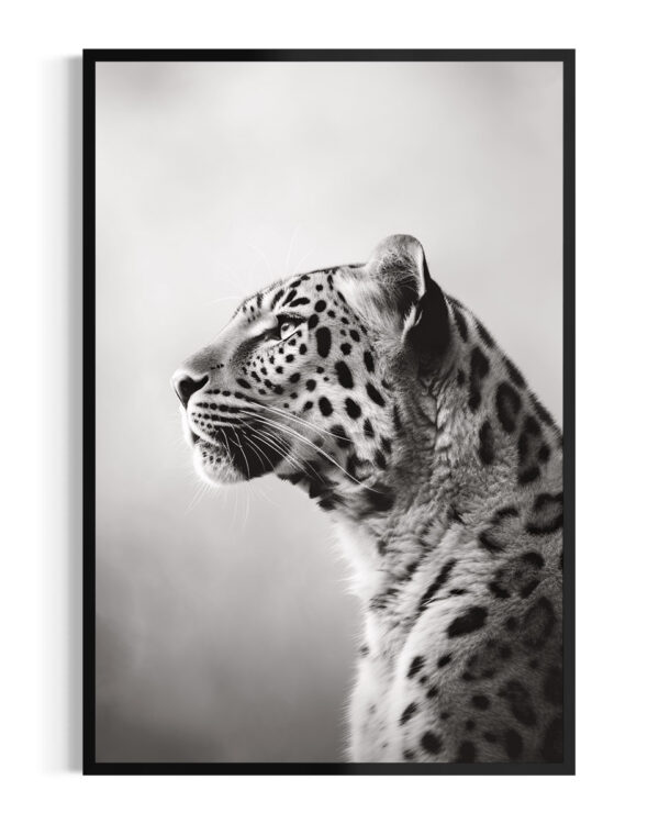 Jaguar | Niebla