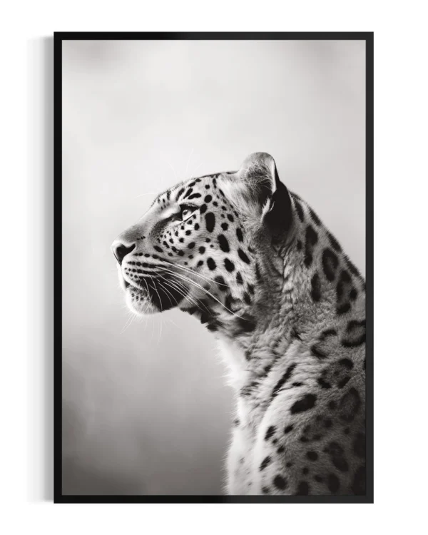 Jaguar | Niebla