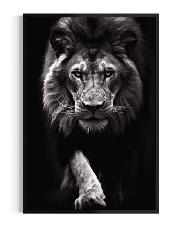 León | Acecho