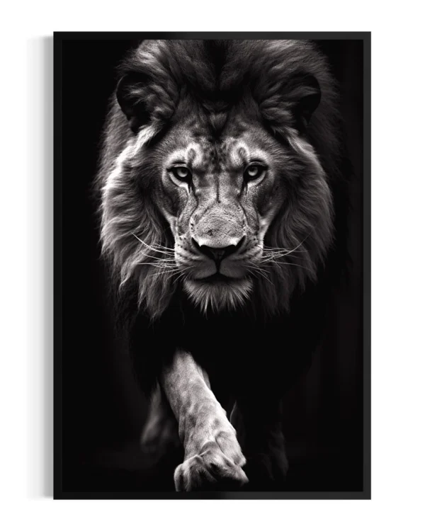 León | Acecho