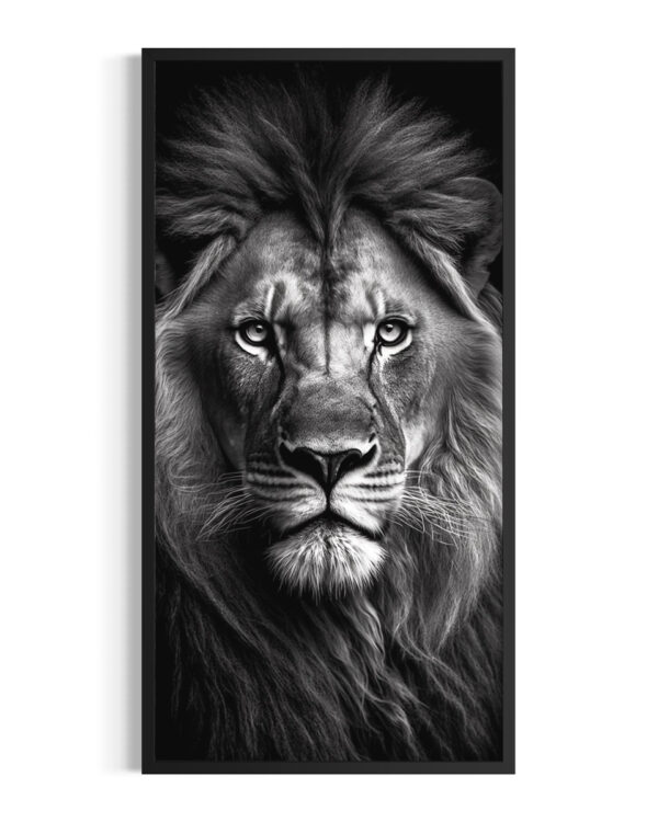 León | Kalahari