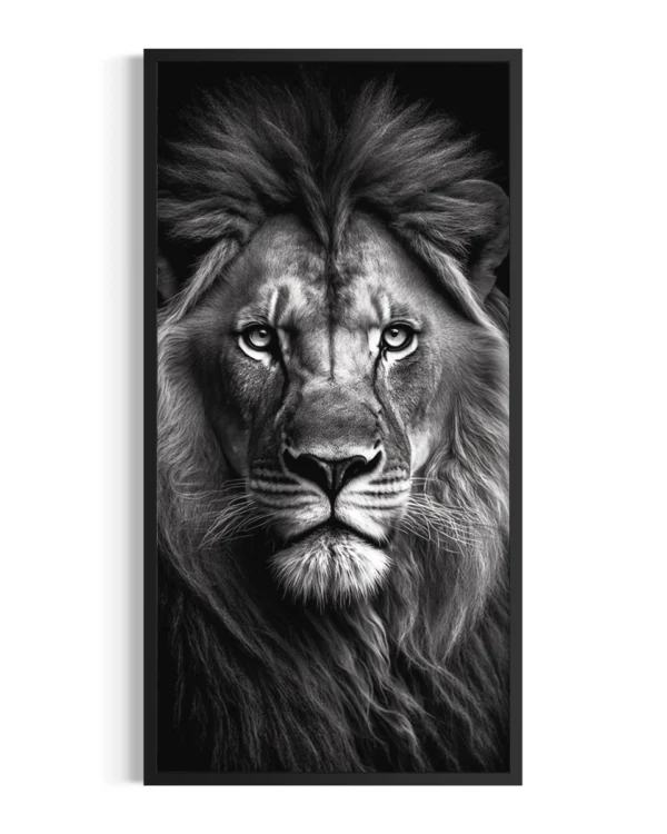 León | Kalahari