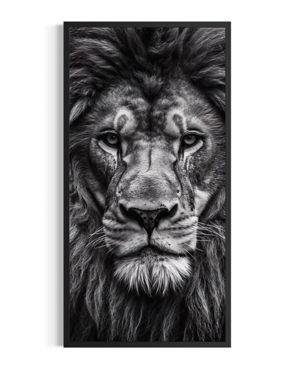 León | Mara