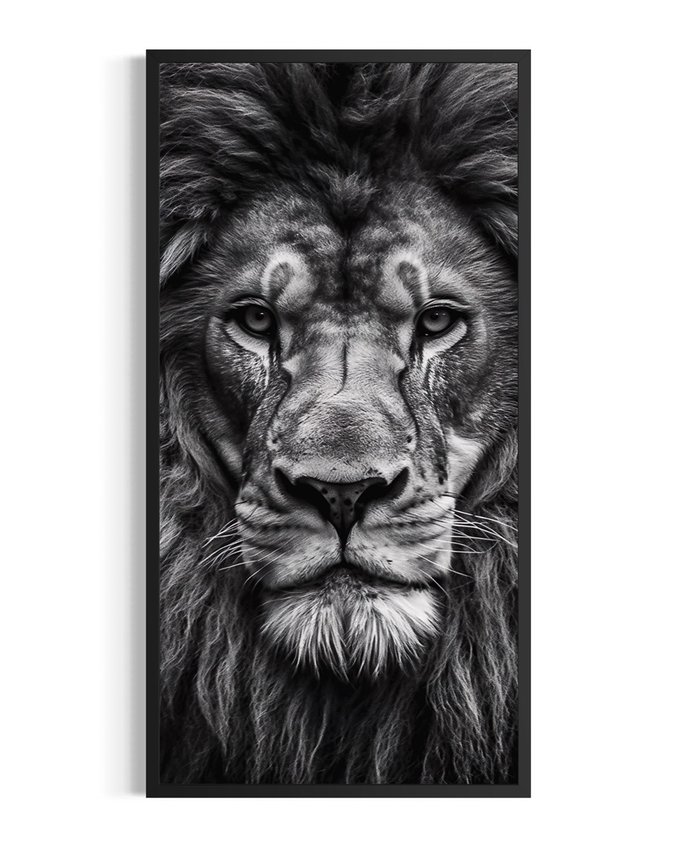 León | Mara