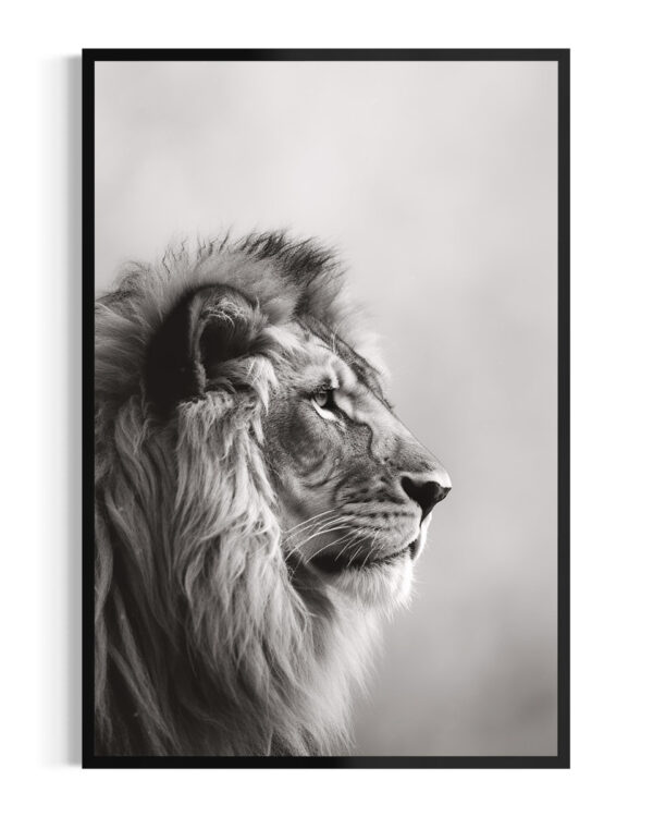 León | Niebla