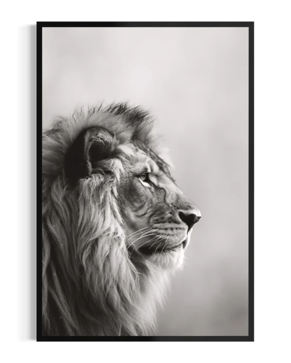 León | Niebla