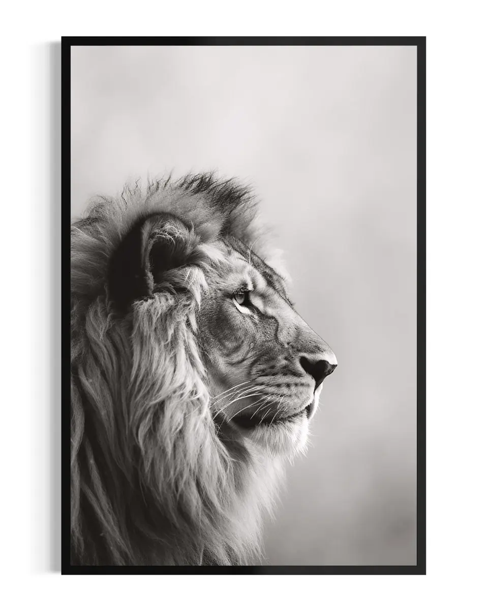 León | Niebla