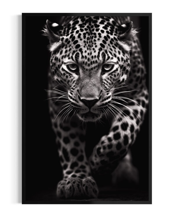 Leopardo | Acecho
