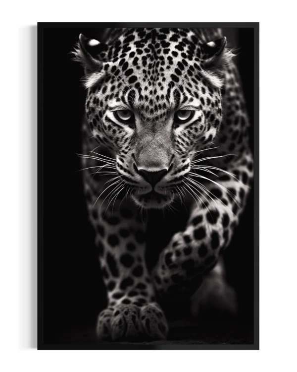 Leopardo | Acecho