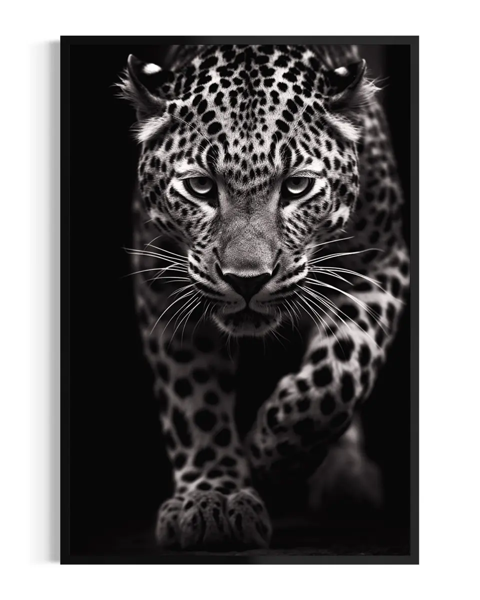 Leopardo | Acecho