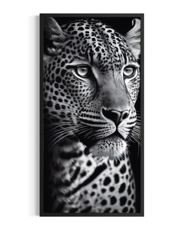 Leopardo | Luangwa