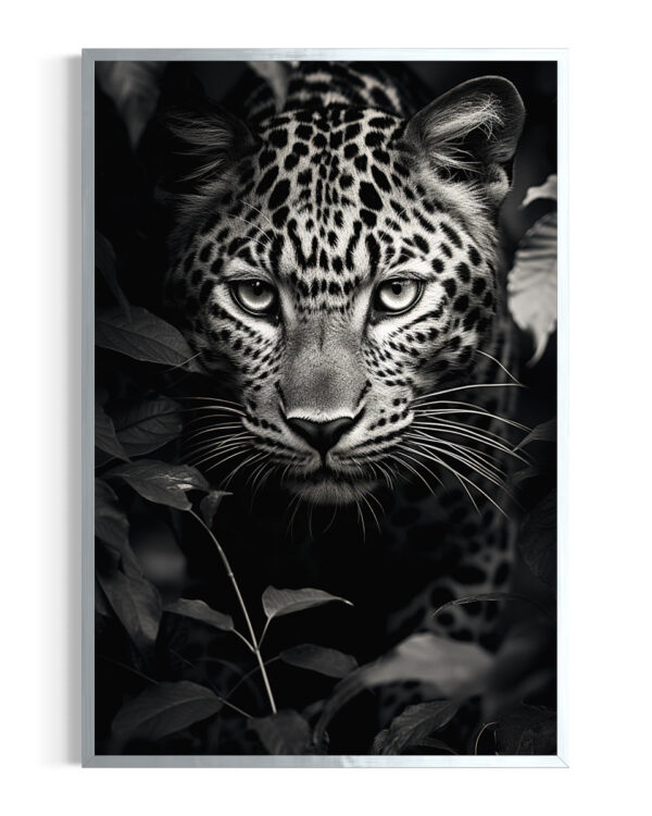Leopardo | Chobe