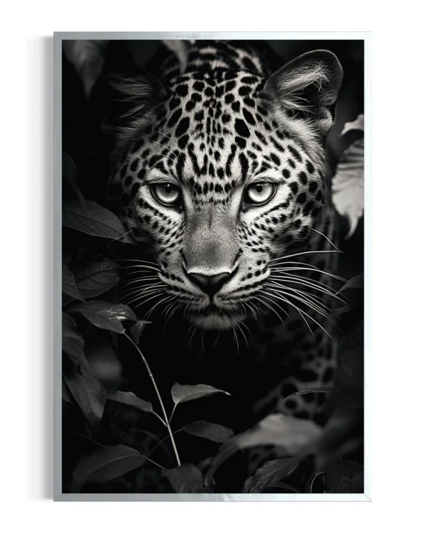 Leopardo | Chobe