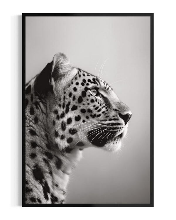 Leopardo | Niebla