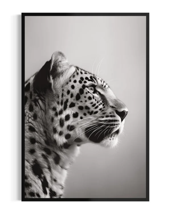 Leopardo | Niebla