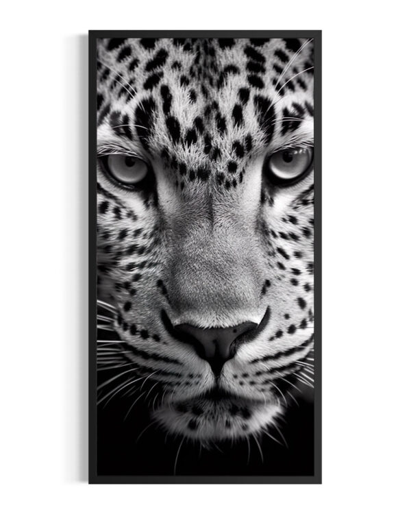 Leopardo | Sabi
