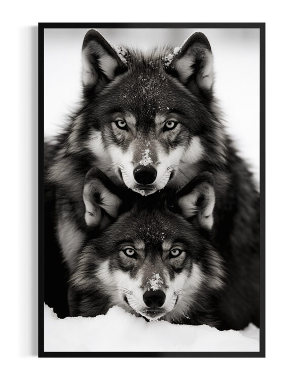 Lobos | Cárpatos