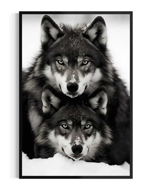 Lobos | Cárpatos