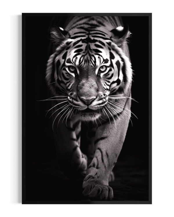 Tigre | Acecho