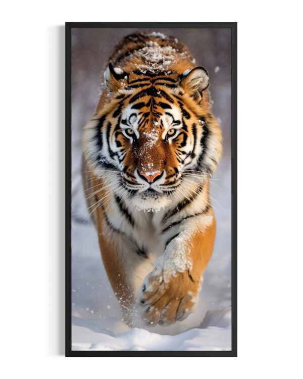 Tigre | Amur