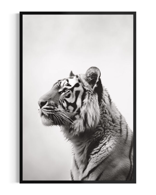 Tigre | Niebla