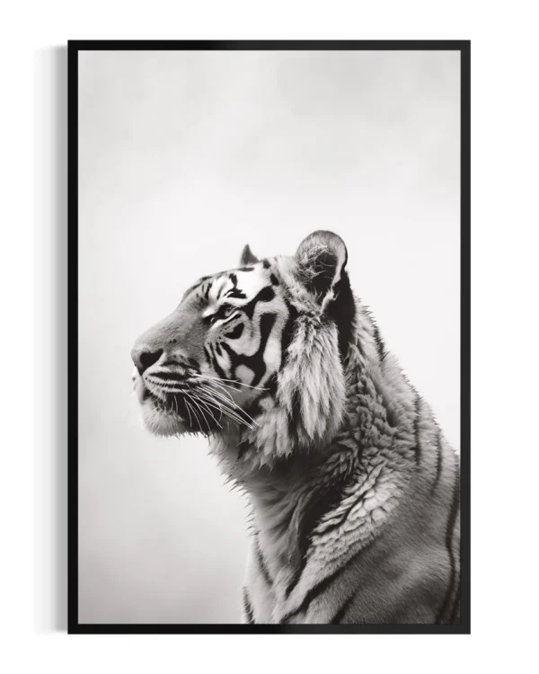 Tigre | Niebla