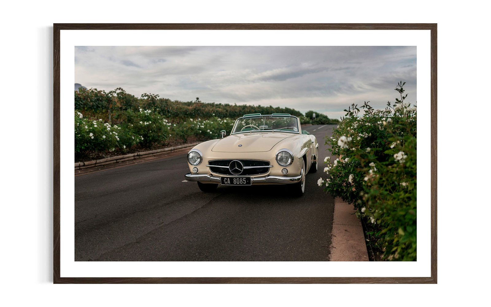 Mercedes-Benz | Roadster