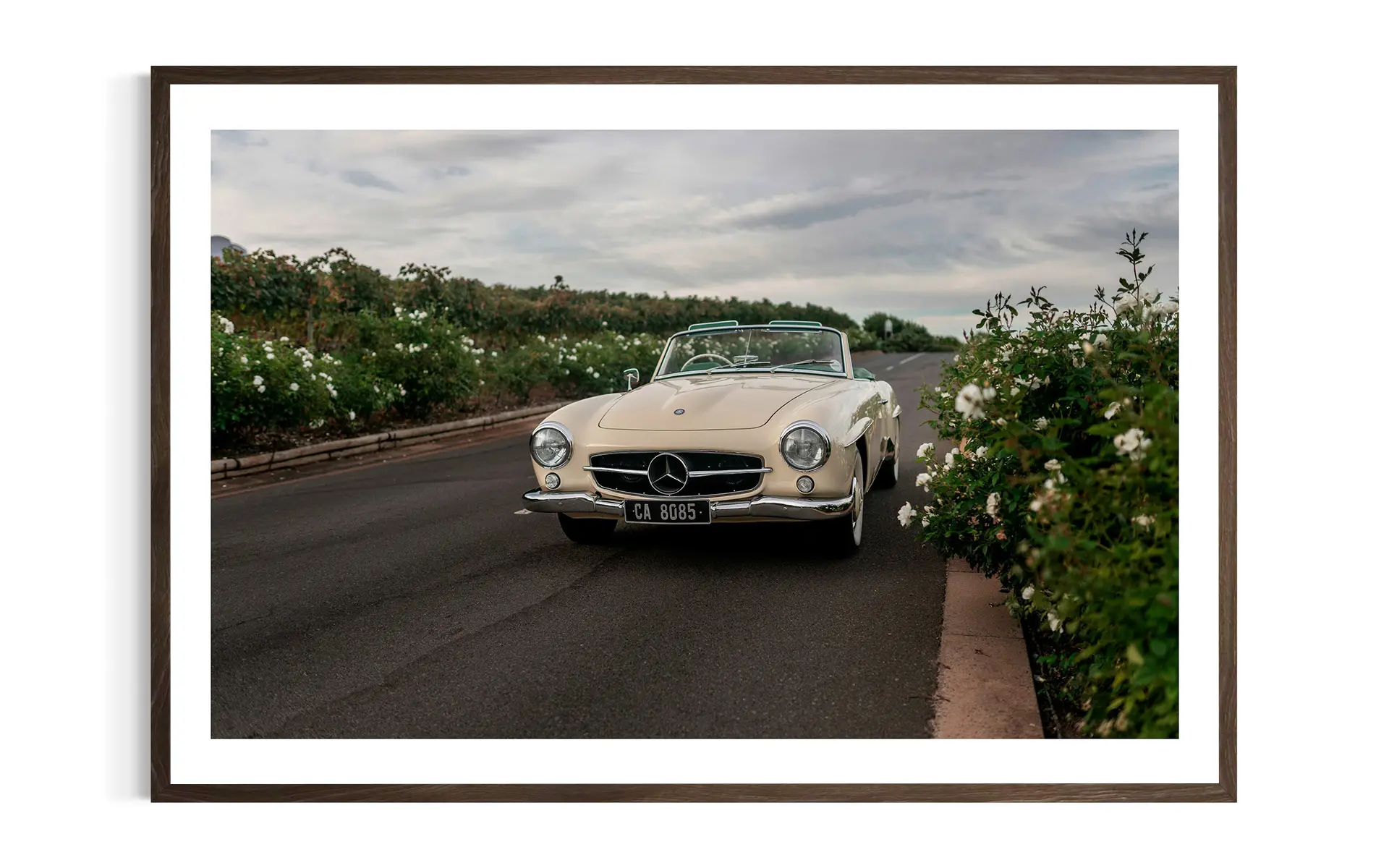 Mercedes-Benz | Roadster